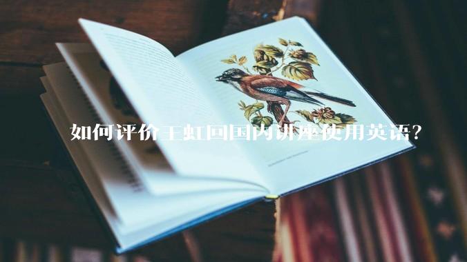 如何评价王虹回国内讲座使用英语？