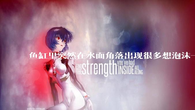 鱼缸里突然在水面角落出现很多想泡沫一样的气泡是怎么回事？